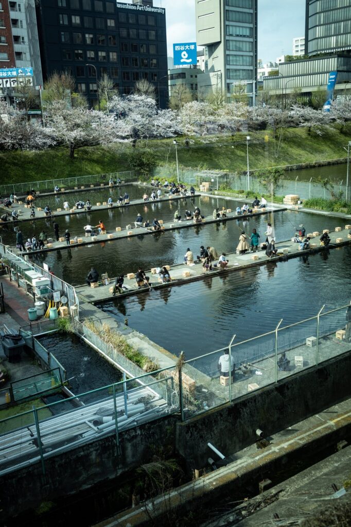 Tokyo Fishing