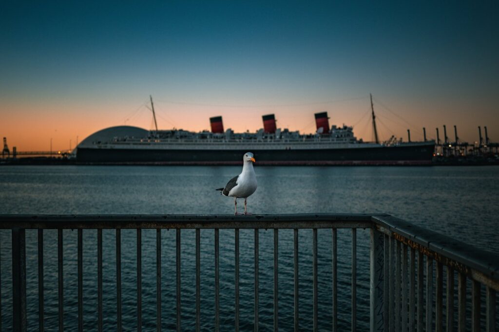 Queen Mary