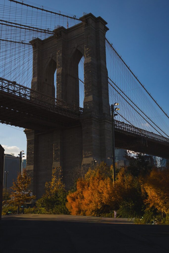 Brooklyn Autumn